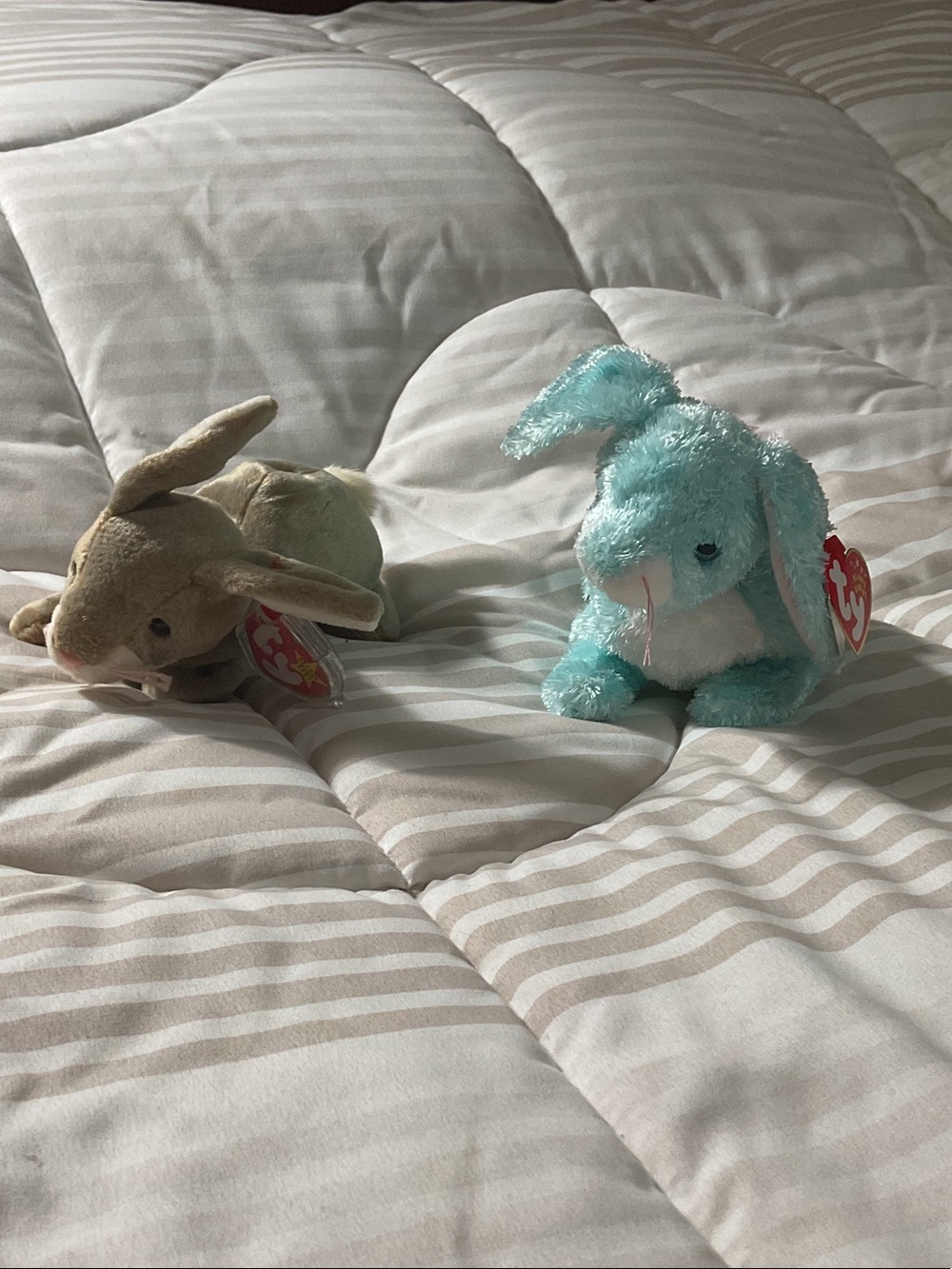 Ty Plush Small Pet Bunnies - Light Blue & Beige 1998 and 2001